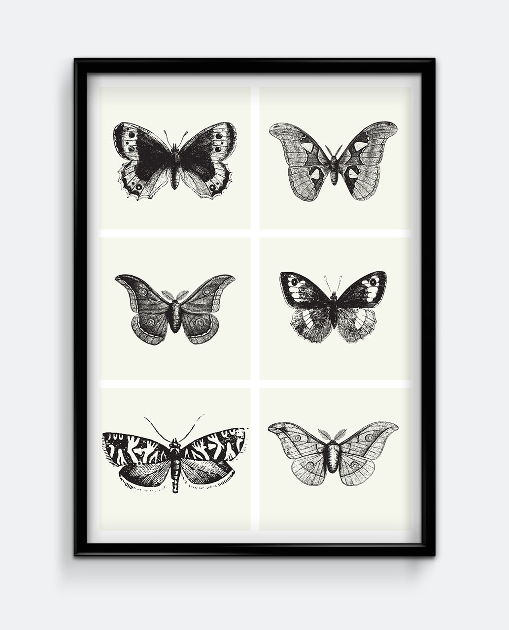 Butterflies I