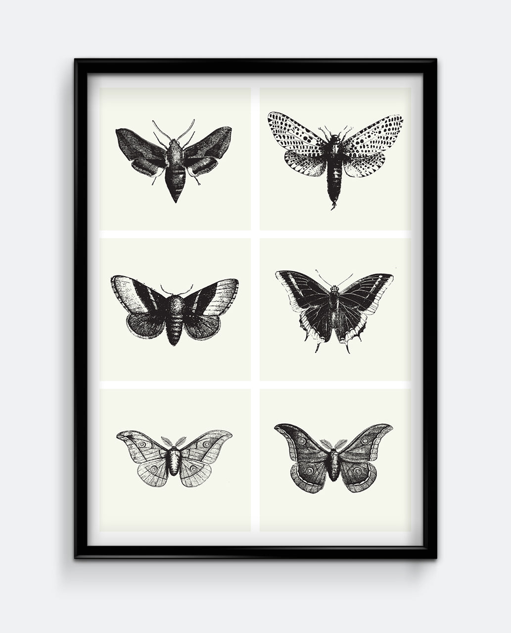 Butterflies II