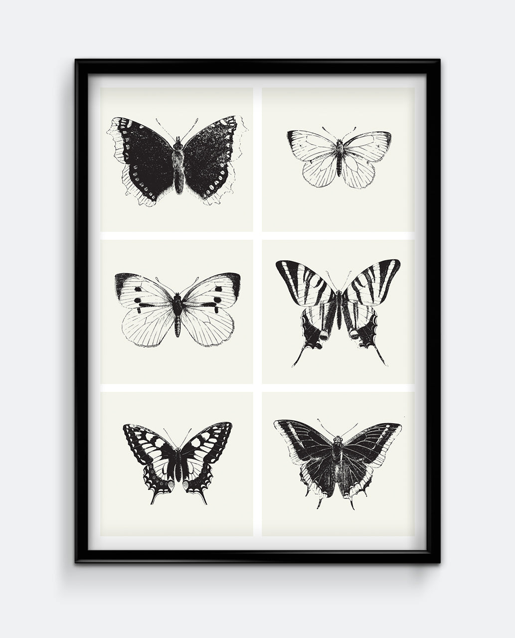 Butterflies III