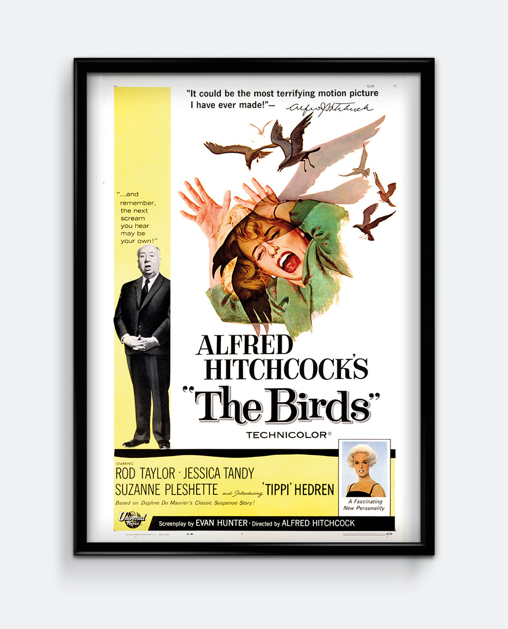 The Birds Film Poster