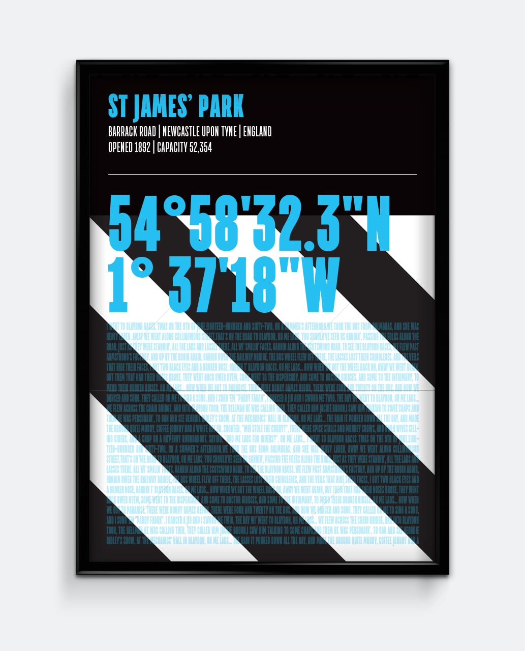 St James’ Park Stadium Print
