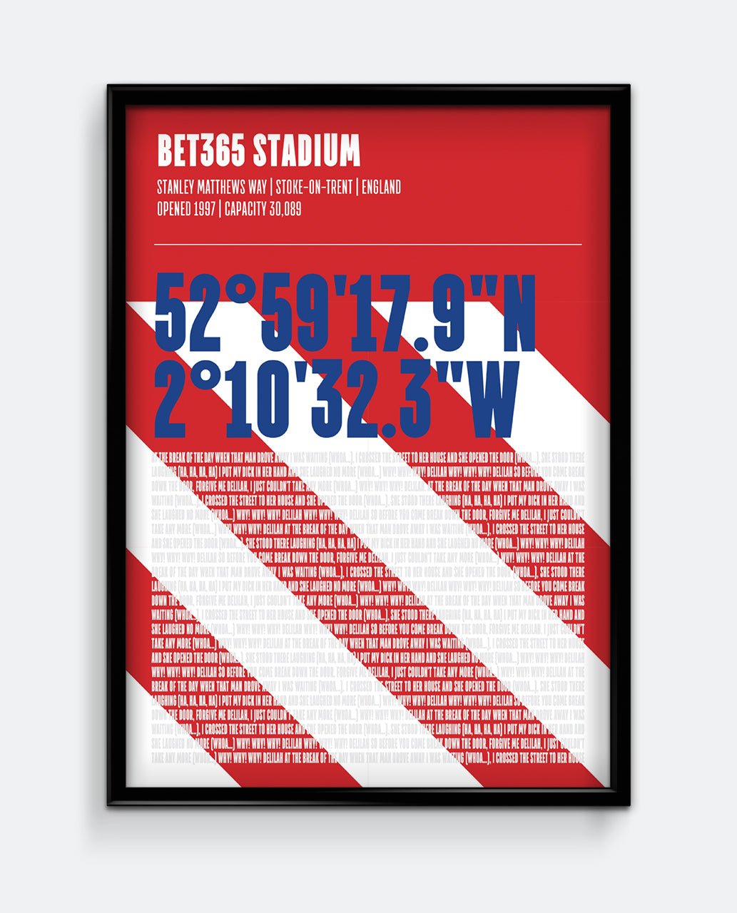 Bet365 Stadium Print