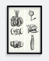 Human Anatomy II