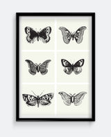 Butterflies I
