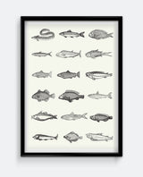Fish I