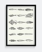 Fish II