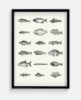 Fish IV